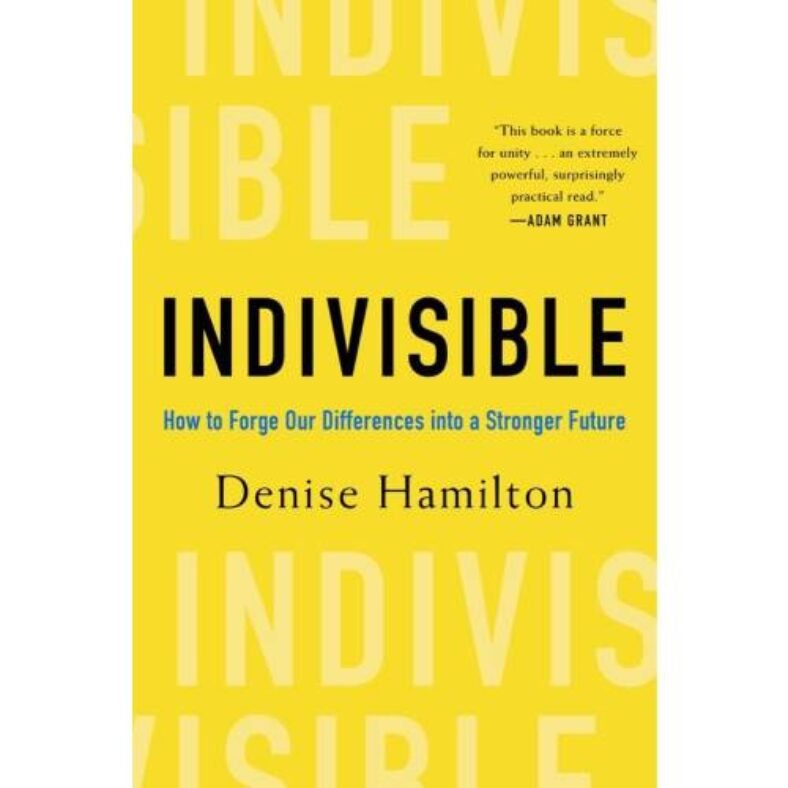 Indivisible: How to Forge Our Differences into a Stronger Future